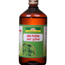 Ark Pudina 450 ml